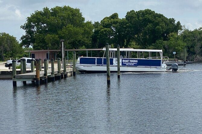 Flamingo Everglades Boat Tours - Exploring the Itinerary: What You Can Expect