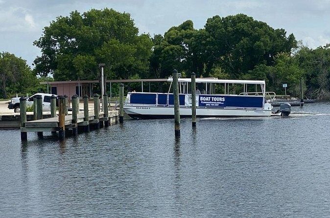 Flamingo Everglades Boat Tours - The Sum Up: Who Should Consider This Tour?