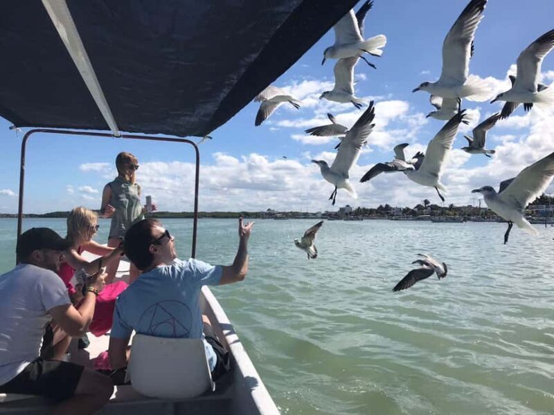 flamingo tour in Rio Lagartos, Yucatan 3 hours - Introduction
