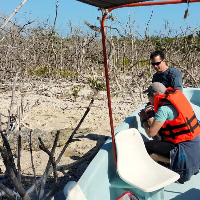 Flamingo tour Rio Lagartos, Yucatan 2 hours - FAQ