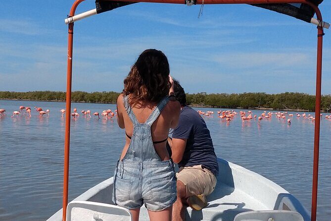 Flamingos Tour in Rio Lagartos Yucatan 2 hours - An In-Depth Look at the Rio Lagartos Flamingo Tour