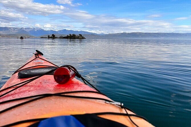 Flathead Lake Somers Bay Tour - Why This Tour Is Worth Considering