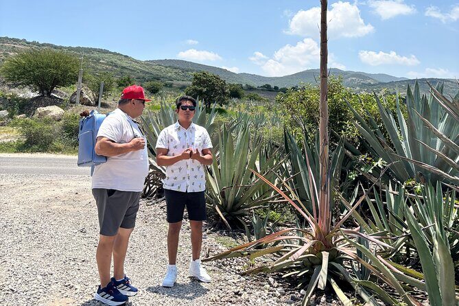 Flavors, colors and culture: Crafts, food and Mezcal EN Oaxaca - FAQ