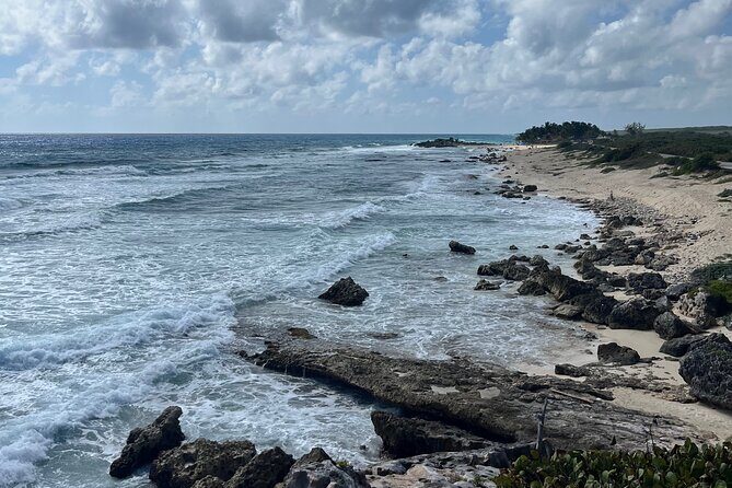 Flavors of Cozumel-exploration of the island with shore snorkeling - Who Will Love This Tour?