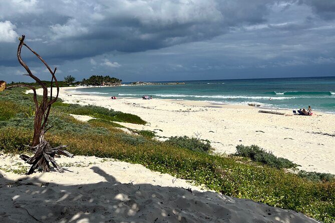 Flavors of Cozumel-exploration of the island with shore snorkeling - The Sum Up