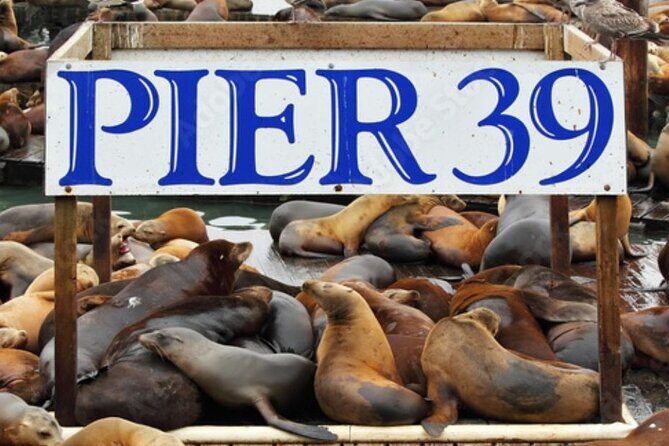Flavors of Fisherman's Wharf: A Self Guided Audio Tour - Introduction to the Tour Experience