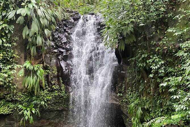 Flavors of Grenada - Key Points