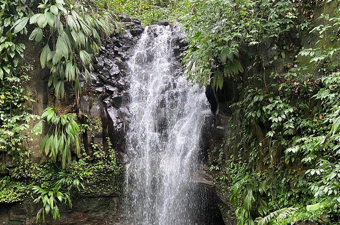 Flavors of Grenada - An In-Depth Look at the Itinerary