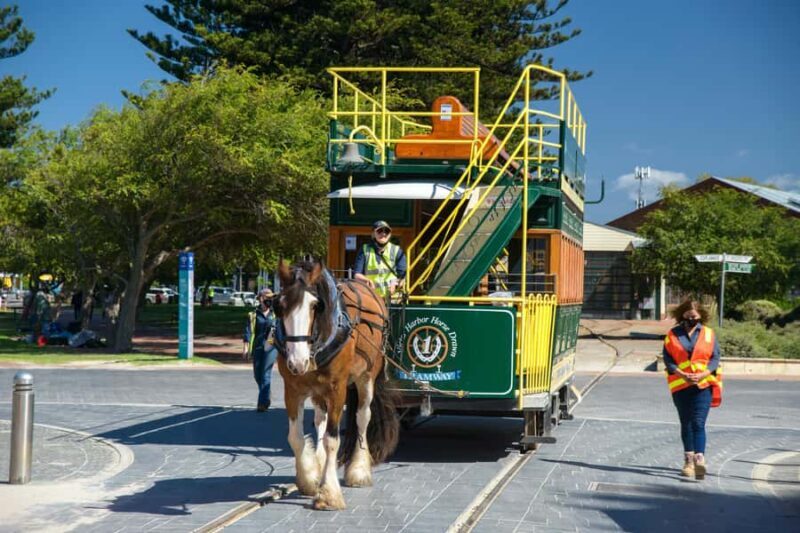 Fleurieu Peninsula: A Memorable Journey - An In-Depth Look at the Tour