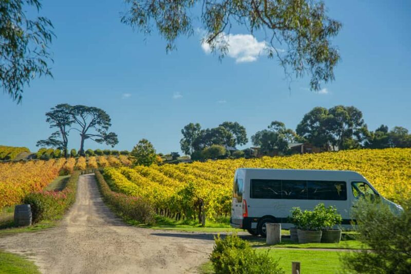Fleurieu Peninsular: McLaren Vale Winery Experience - What to Expect from the McLaren Vale Winery Experience