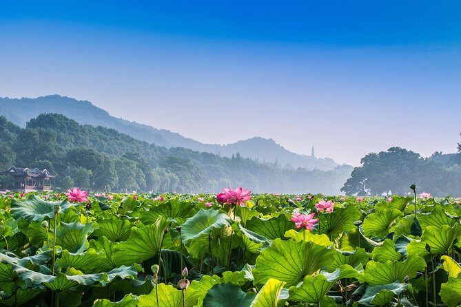 Flexible Hangzhou Private Day Tour with Lunch - A Closer Look at the Itinerary