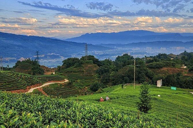 Flexible Hangzhou Private Day Tour with Lunch - Concluding Thoughts: Who Should Consider This Tour?