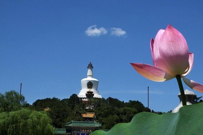 Flexible Private Beijing Layover Tour - Why This Tour Is a Great Choice