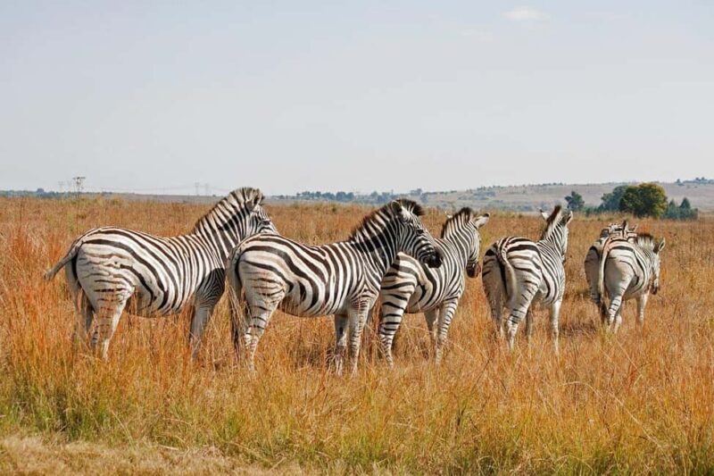 Flight Adventure from Zanzibar to Nyerere NP: 2 Days 1 Night - Final Thoughts