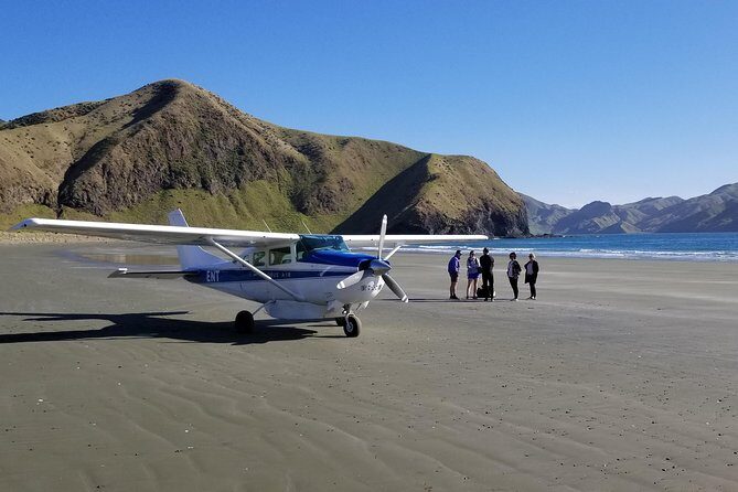Flight Experience our Water and Wilderness Scenic Tour - Practical Details & Considerations