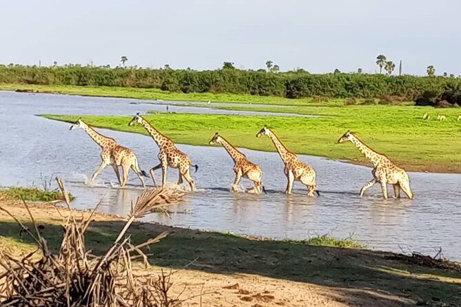 Flight Package Zanzibar to Nyerere National Park (Selous GR) 3 Days 2 Nights - Cost & Value