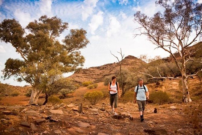 Flinders Ranges 3-Day Small Group 4WD Eco Tour from Adelaide - Key Points