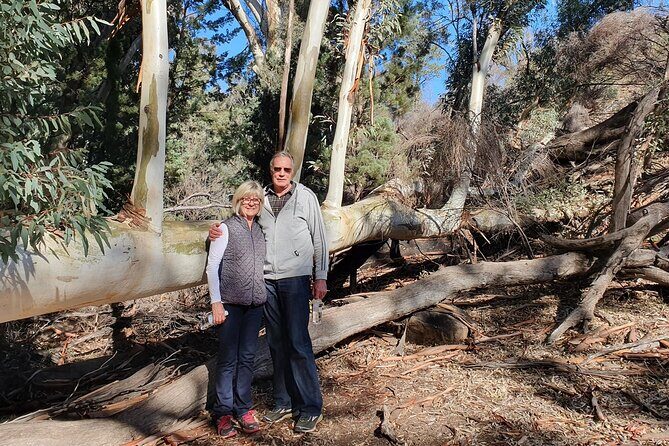 Flinders Ranges 5-Day Small Group 4WD Eco Tour from Adelaide - What the Tour Does Well