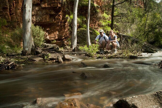 Flinders Ranges 5-Day Small Group 4WD Eco Tour from Adelaide - Final Thoughts
