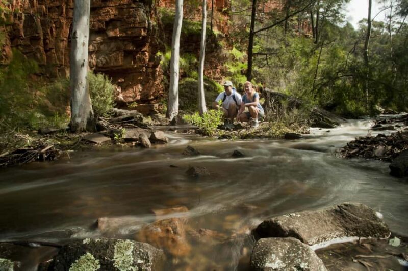 Flinders Ranges & Outback: 3-Day 4WD Tour from Adelaide - An In-Depth Look at the 3-Day Flinders Ranges & Outback Tour