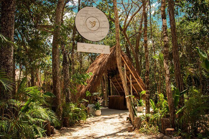 Floating breakfast in The Yellow Nest (near Dos Ojos cenote) - An In-depth Look at the Experience