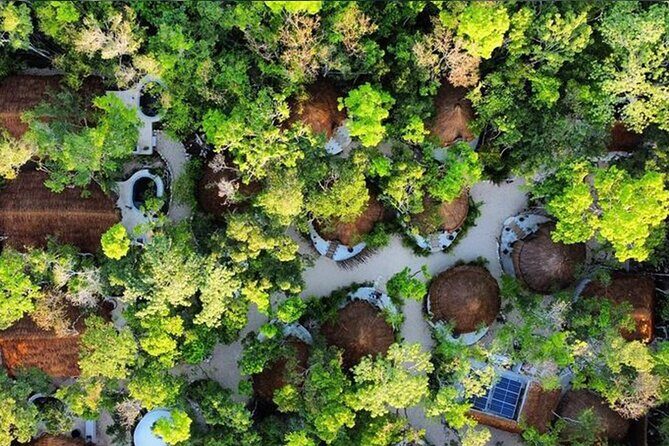 Floating breakfast in The Yellow Nest (near Dos Ojos cenote) - Who Will Love This Tour?