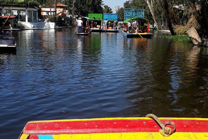 Floating Flower Gardens Of Xochimilco with a Local: Private & Personalized - A Deep Dive into the Experience