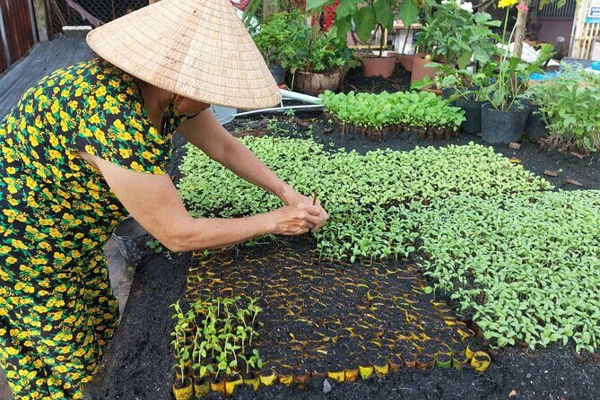Floating Market, Cacao Farm and Mekong' Tour from Can Tho - The Experience and What Travelers Say