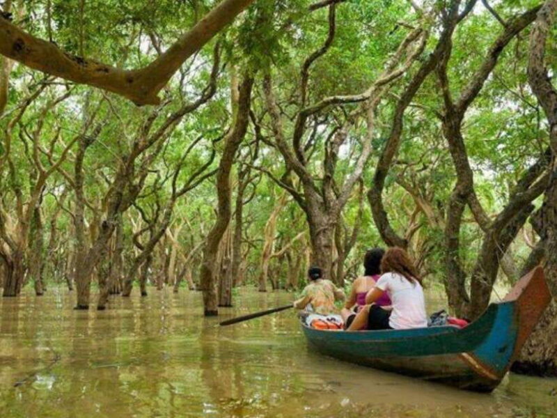 Floating Village-Mangroves Forest Tonle Sap Lake Boat Tour - Who Will Love This Tour?