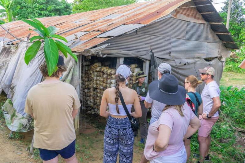 Floating Village Sunset Boat & Jeep Tour inclusive Drinks - Frequently Asked Questions