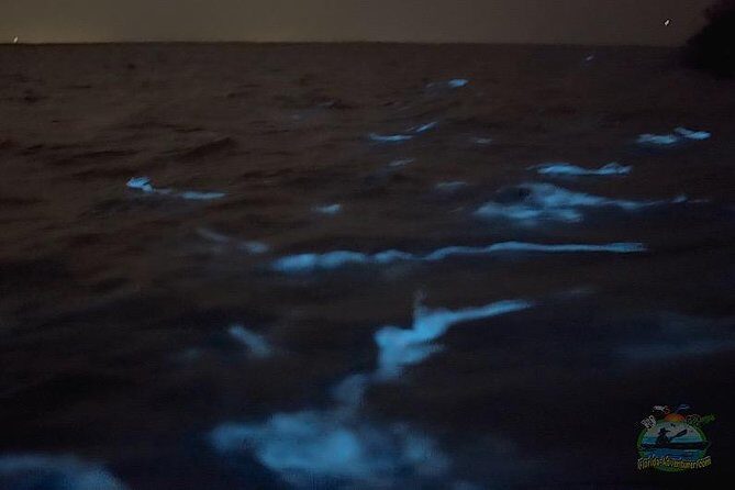 Florida Bioluminescence Clear Kayak tour/ Beacon 42 (Titusville) - Who Should Consider This Tour?