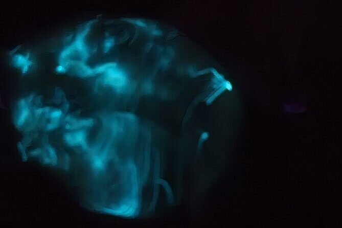 Florida Bioluminescence Clear Kayak tour/ Beacon 42 (Titusville) - FAQs