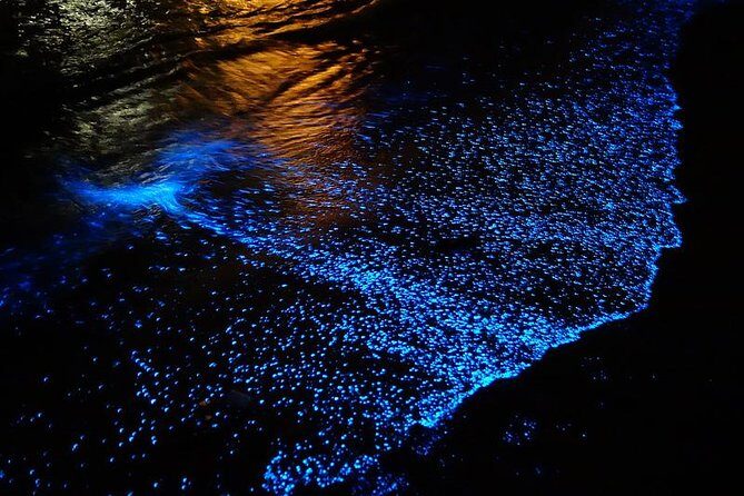 Florida Bioluminescence Kayaking Tour (Titusville) - A Deep Dive into the Experience