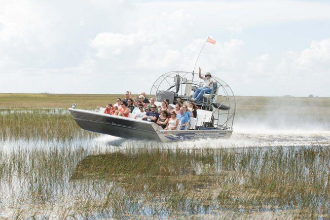 Florida Everglades Airboat Adventure and Wildlife Encounter - What to Expect on the Tour