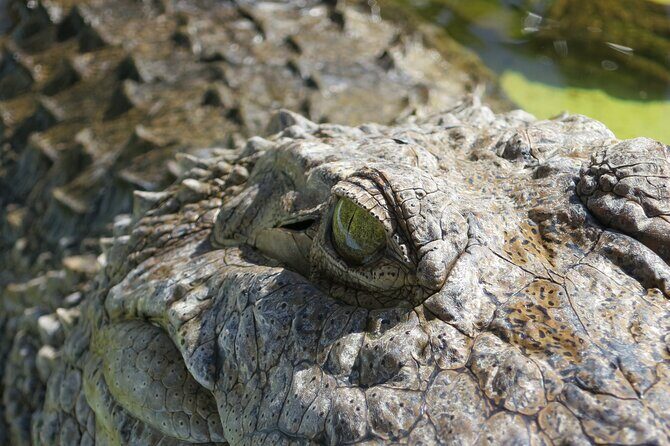 Florida Everglades Airboat Adventure plus Miami Biscayne Bay Cruise - The Sum Up
