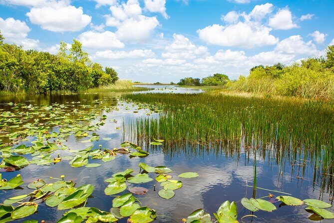 Florida Everglades Airboat Adventure plus Miami Biscayne Bay Cruise - FAQ