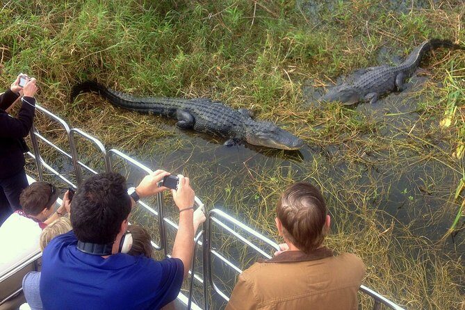 Florida Everglades Airboat Tour and Wild Florida Admission with Optional Lunch - Practical Tips for Your Visit