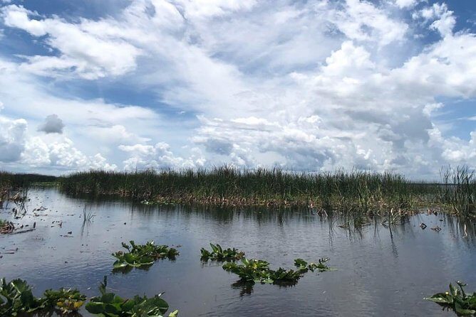 Florida Everglades Airboat Tour and Wild Florida Admission with Optional Lunch - Authentic Experiences and Authentic Reviews