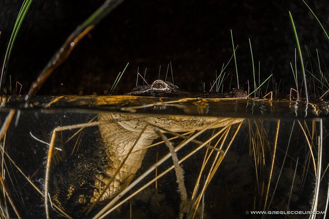 Florida Everglades Night Airboat Tour near Fort Lauderdale - An In-Depth Review of the Everglades Night Airboat Tour