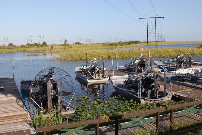 Florida Everglades Private Night Airboat Ride Tour - An In-Depth Look at the Tour