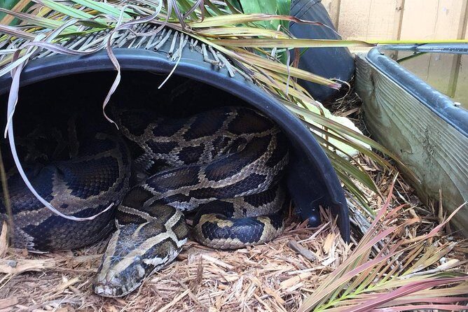 Florida Everglades Private Night Airboat Ride Tour - FAQ