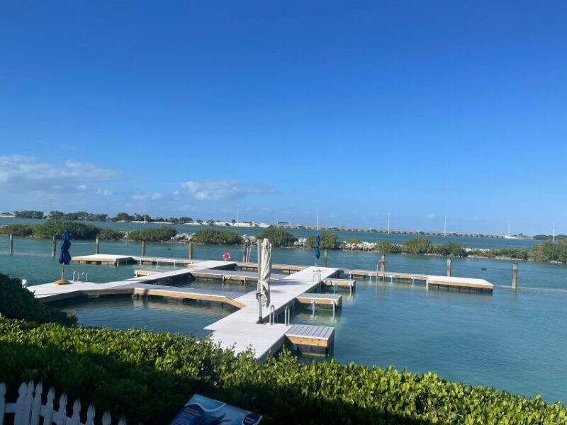 Florida Keys: Dockside Dolphin Experience - What Travelers Are Saying
