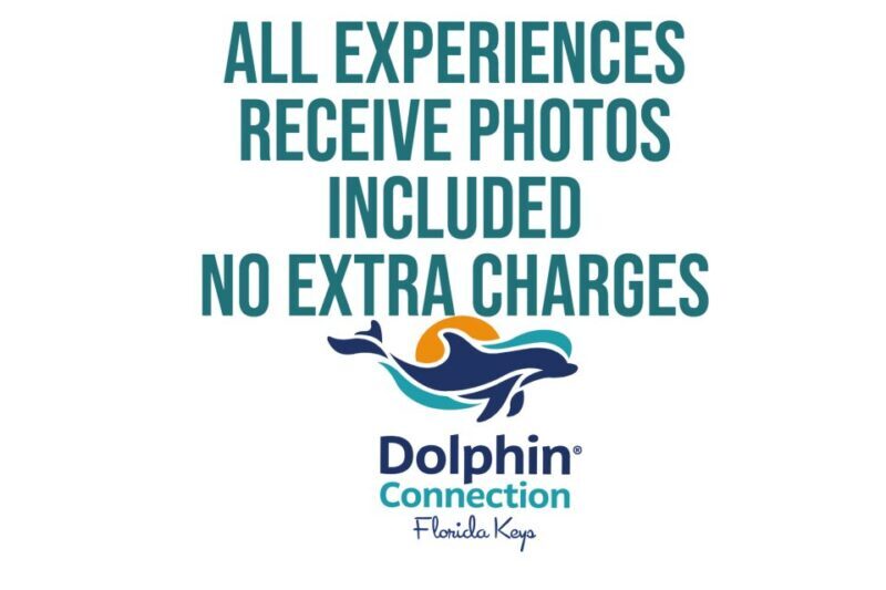 Florida Keys: Dockside Dolphin Experience - Analyzing the Value