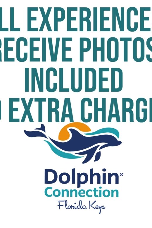 Florida Keys: Dockside Dolphin Experience - Final Thoughts