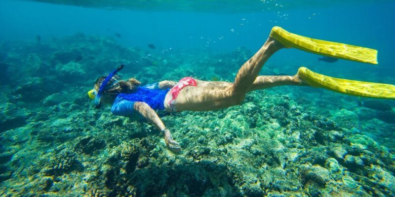 Florida Keys: Full-Day Kayak + Snorkel Coral Reef Adventure - Final Thoughts