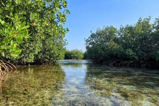 Florida Keys Kayak And Paddleboard Rentals - FAQs