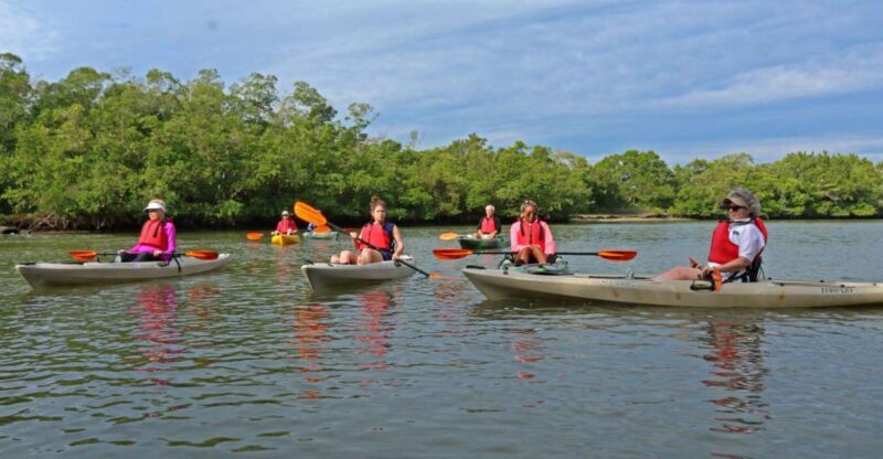 Florida Keys: Key West Kayak Eco Tour with Nature Guide