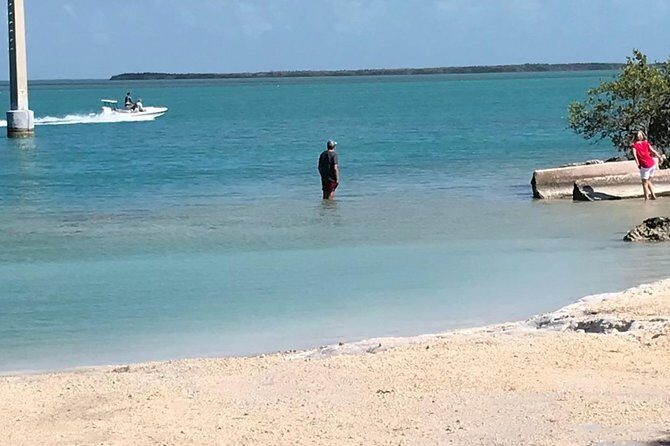 Florida Keys Tour and Private Transportation service - Who Would This Tour Suit Best?