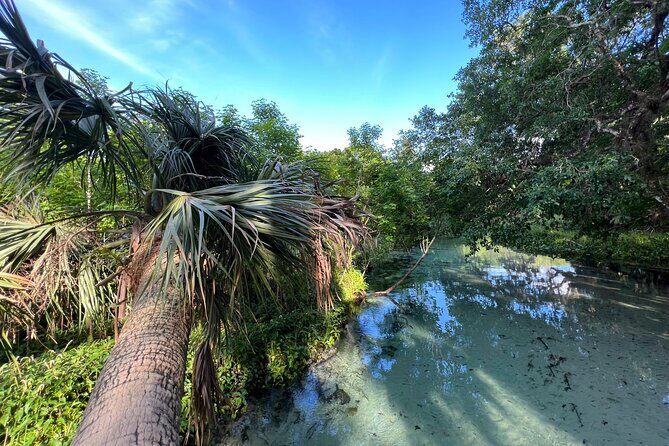 Florida paddle excursions - The Experience in Detail: What to Expect on Your Paddleboard Adventure