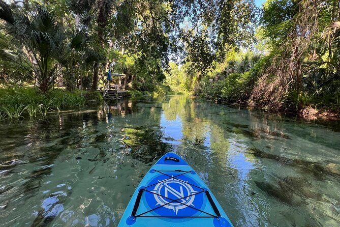 Florida paddle excursions - The Value and Who It’s Best For